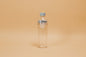 Cold Brew Tea Portable Bottle