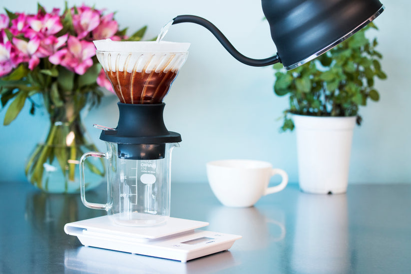 V60 SWITCH Glass Dripper and Server Set 02